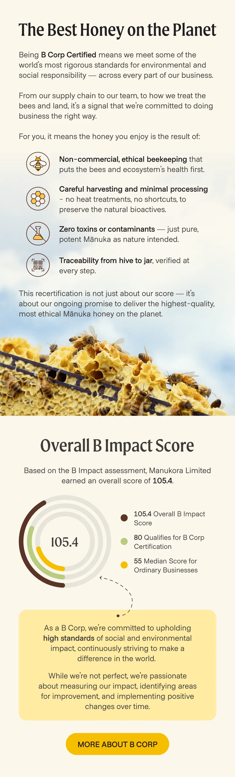 More about b-corp