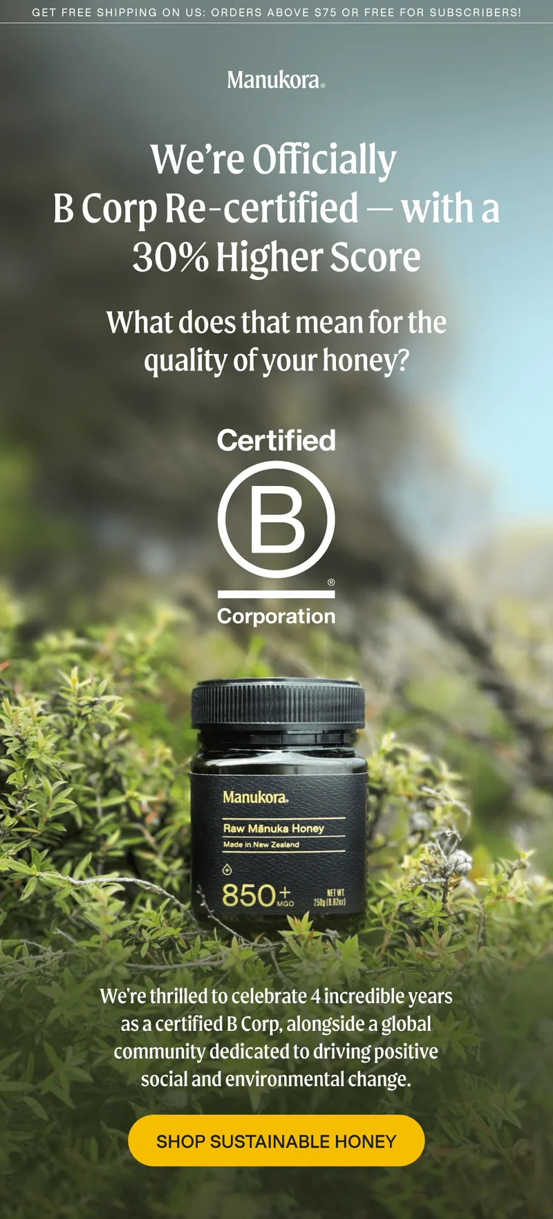 Shop sustainable honey