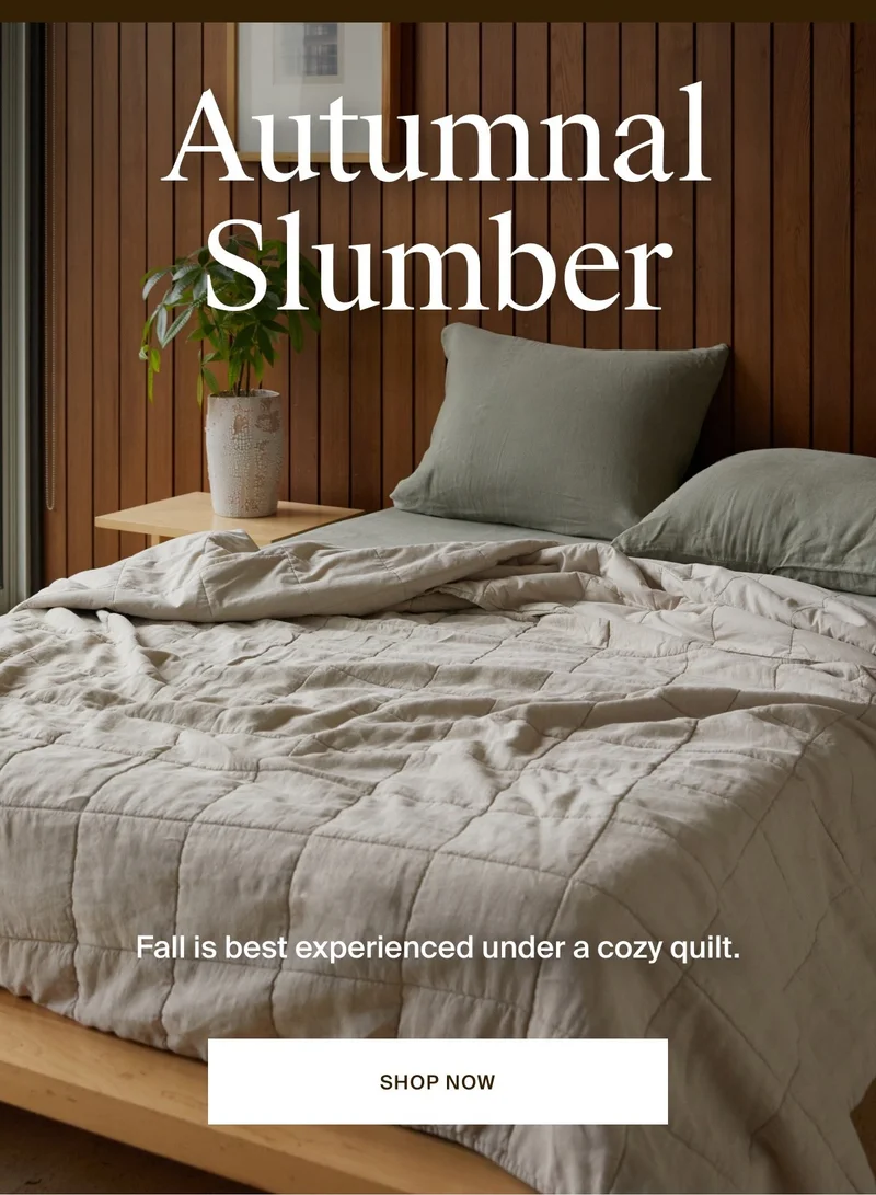 Shop Quilts and cozy up for fall