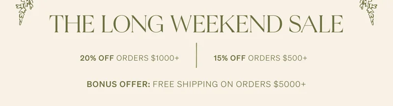 Shop Lulu and Georgia