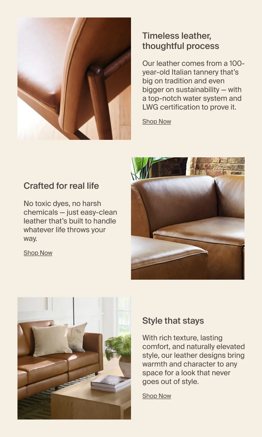 Shop Now