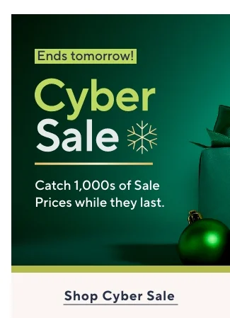 Cyber Sale