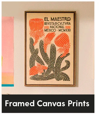 Shop Framed Canvas Prints