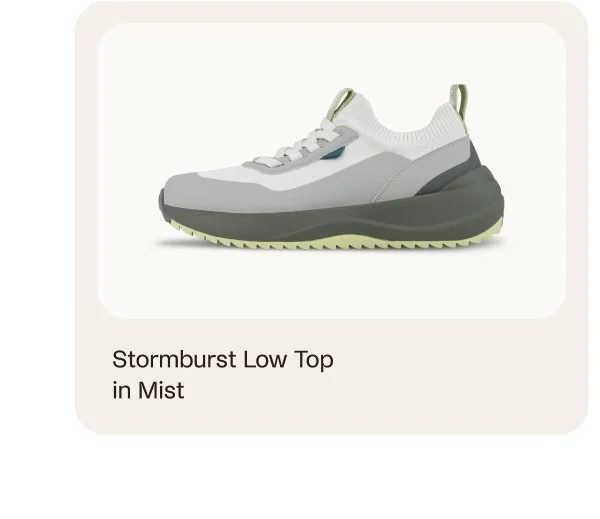 Stormburst Low Top in Mist