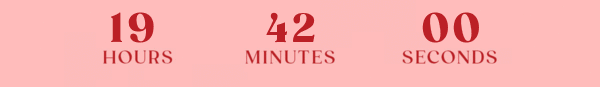 Countdown Timer Countdown Timer