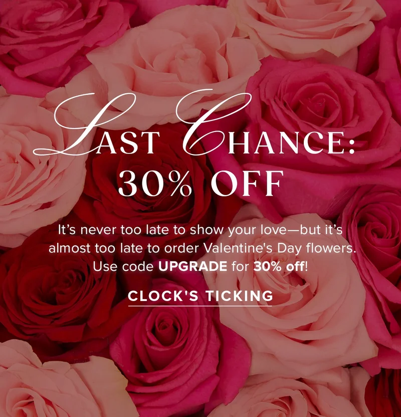 Last Chance: 30% Off. It's never too late to show your love -- but it's almost too late to order Valentine's Day flowers. Use code UPGRADE for 30% off! CLOCK'S TICKING Last Chance: 30% Off. It's never too late to show your love -- but it's almost too late to order Valentine's Day flowers. Use code UPGRADE for 30% off! CLOCK'S TICKING