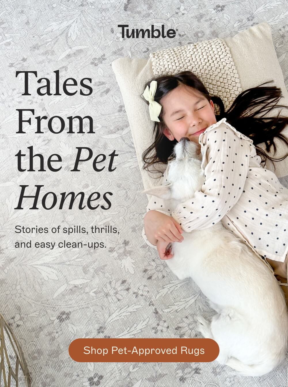 [ shop pet-approved rugs ]