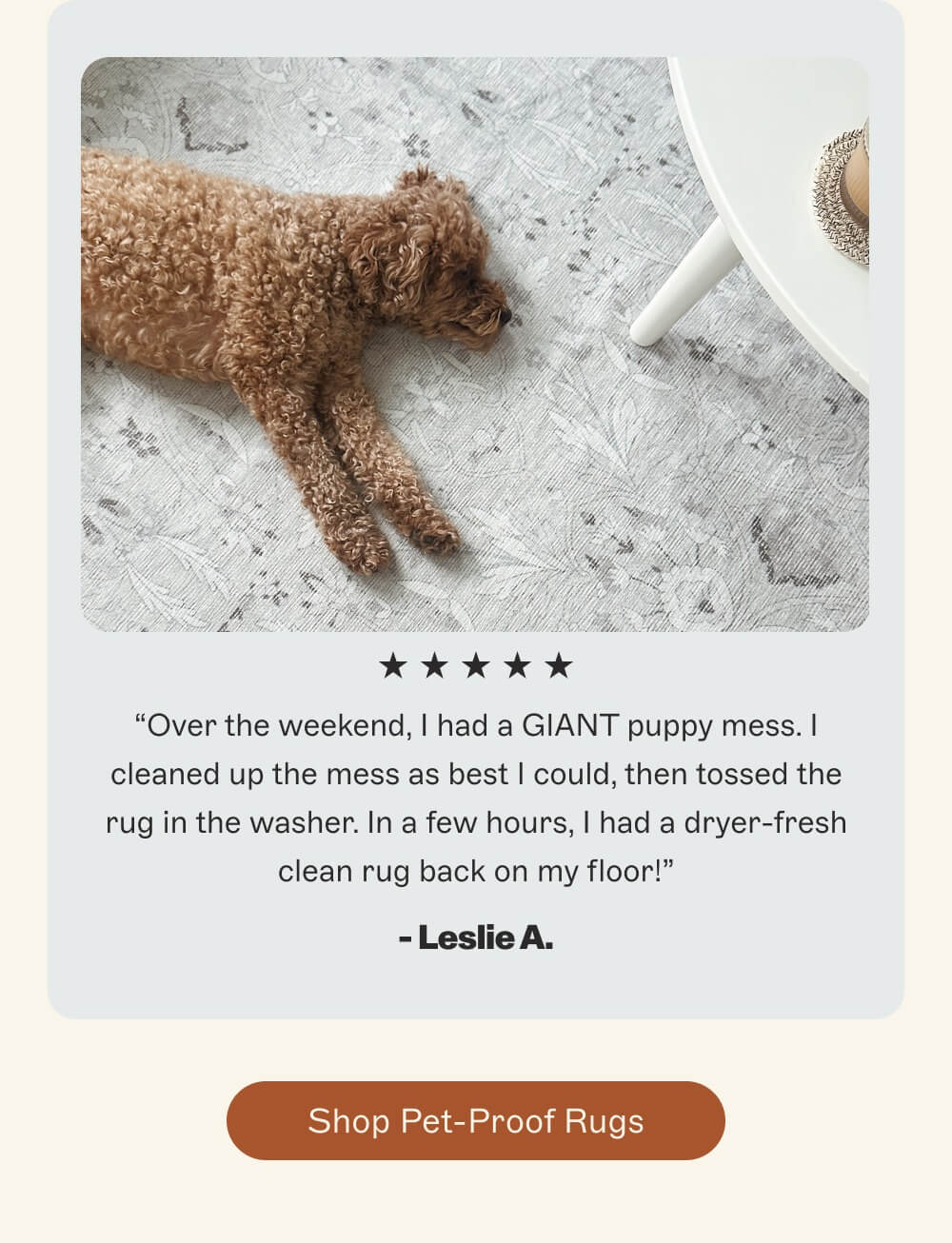 [ shop pet-proof rugs ]