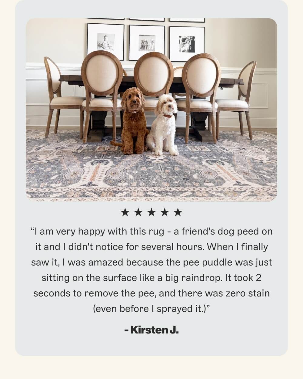 “I am very happy with this rug - a friend's dog peed on it and I didn't notice for several hours. When I finally saw it, I was amazed because the pee puddle was just sitting on the surface like a big raindrop. It took 2 seconds to remove the pee, and there was zero stain (even before I sprayed it.)”