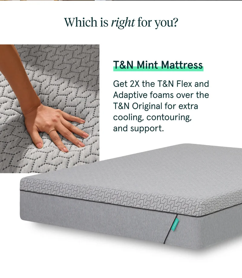 T&N Mint Mattress