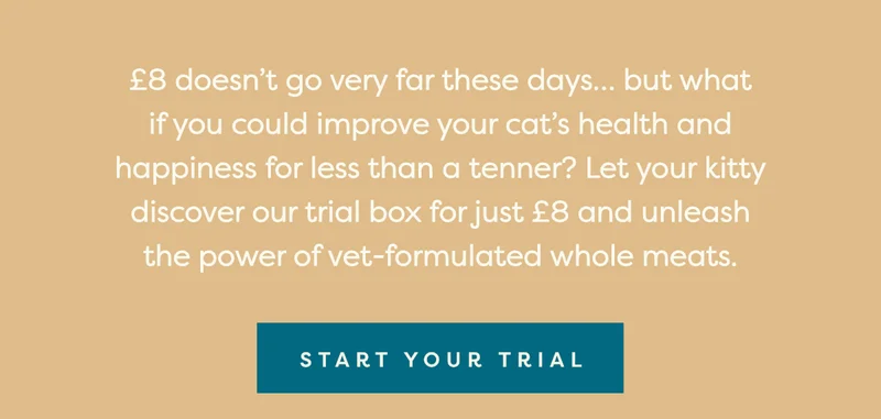 £8 doesn’t go very far these days… but what if you could improve your cat’s health and happiness for less than a tenner? Let your kitty discover our trial box for just £8 and unleash the power of vet-formulated whole meats.