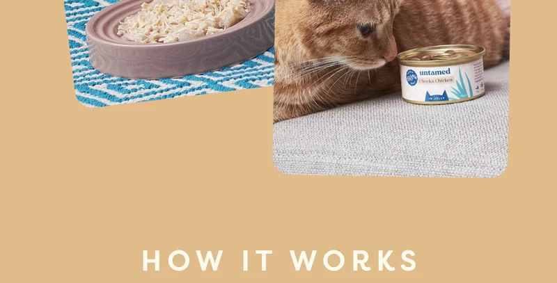 How it works