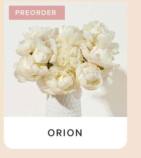 Preorder the Orion Bouq