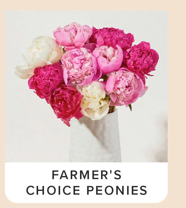 Farmer's Choice Peonies Bouq