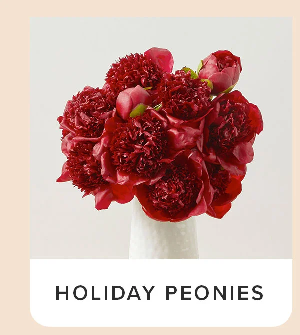 Holiday Peonies Bouq