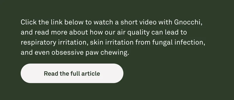 Read the full article