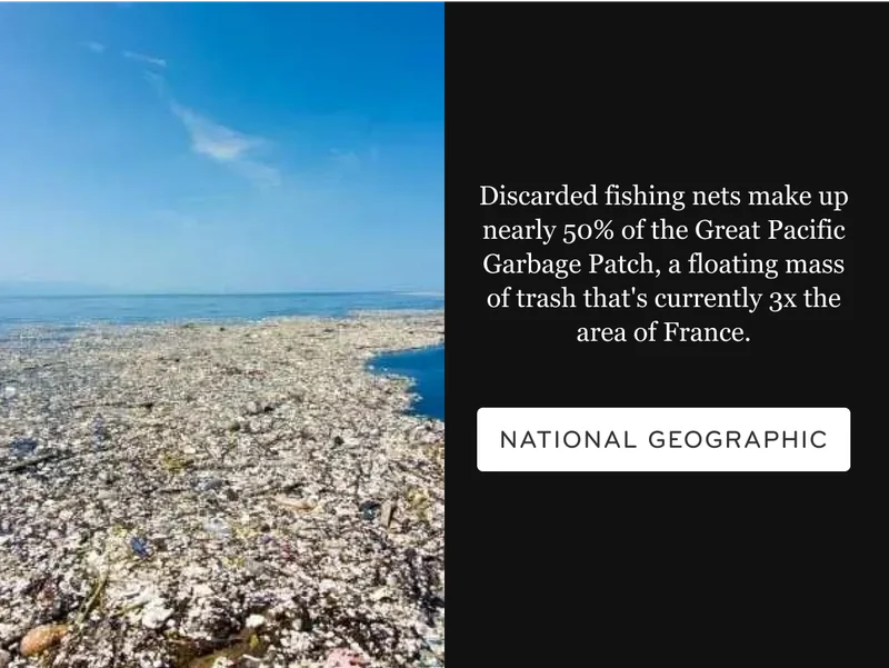 Great Pacific Garbage Patch article from NatGeo