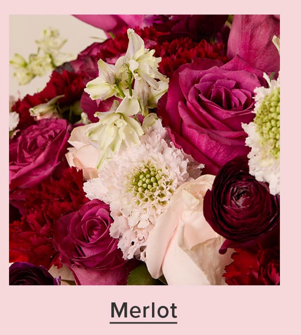 Merlot