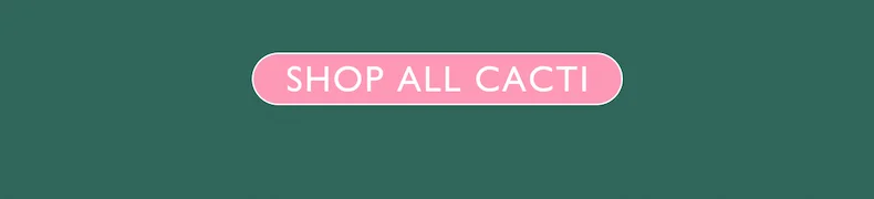 Shop All Cacti