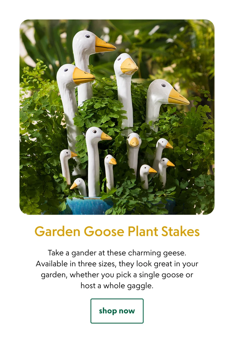 garden-goose-plant-stakes