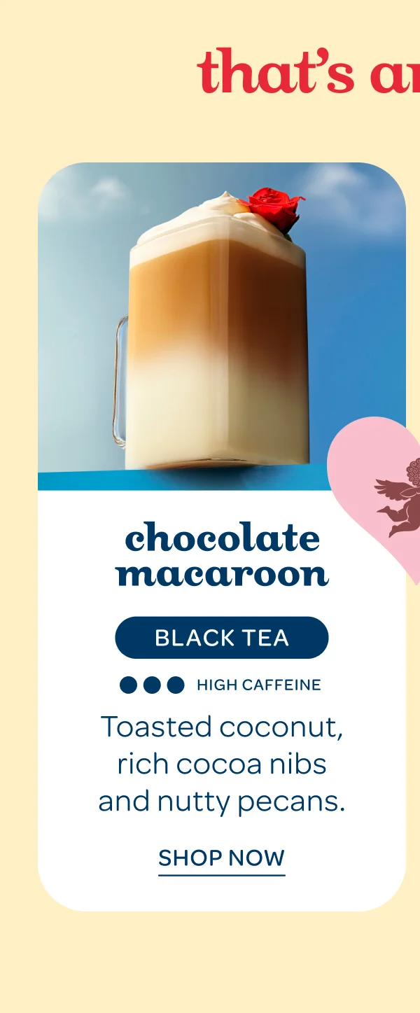 Chocolate Macaroon - Shop now