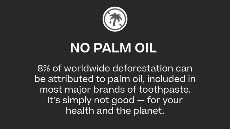 No palm oil