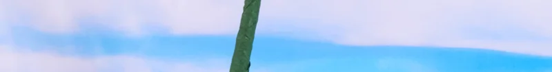 flower stem