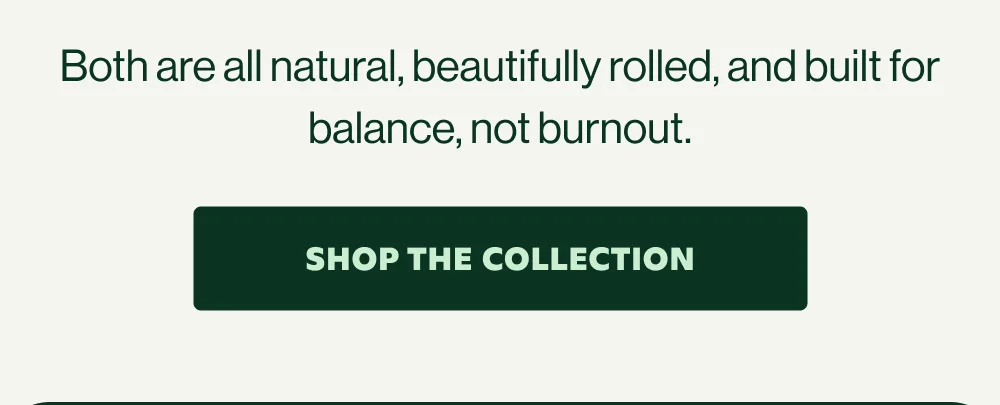 SHOP THE COLLECTION