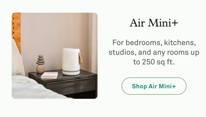 Air Mini+