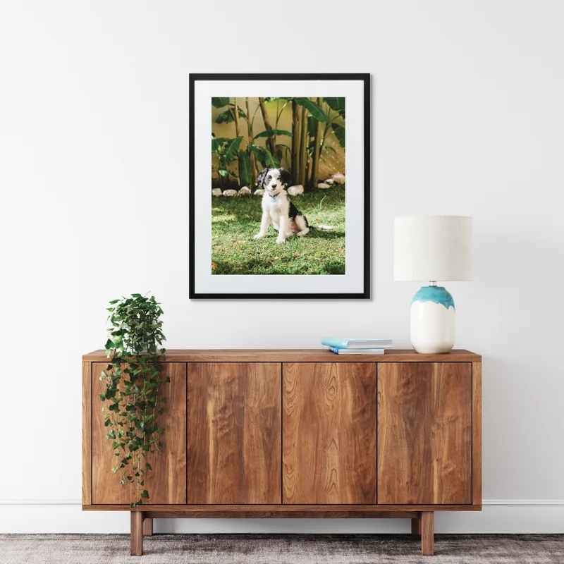 Framed print of dog.