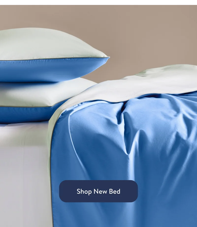 Shop new bed