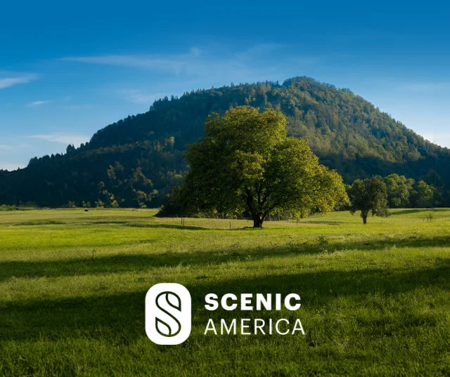 Scenic America open field with a large tree and a mountain in the background