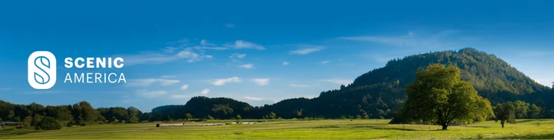 Scenic America open field with a large tree and a mountain in the background