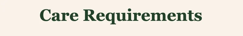 care requirements