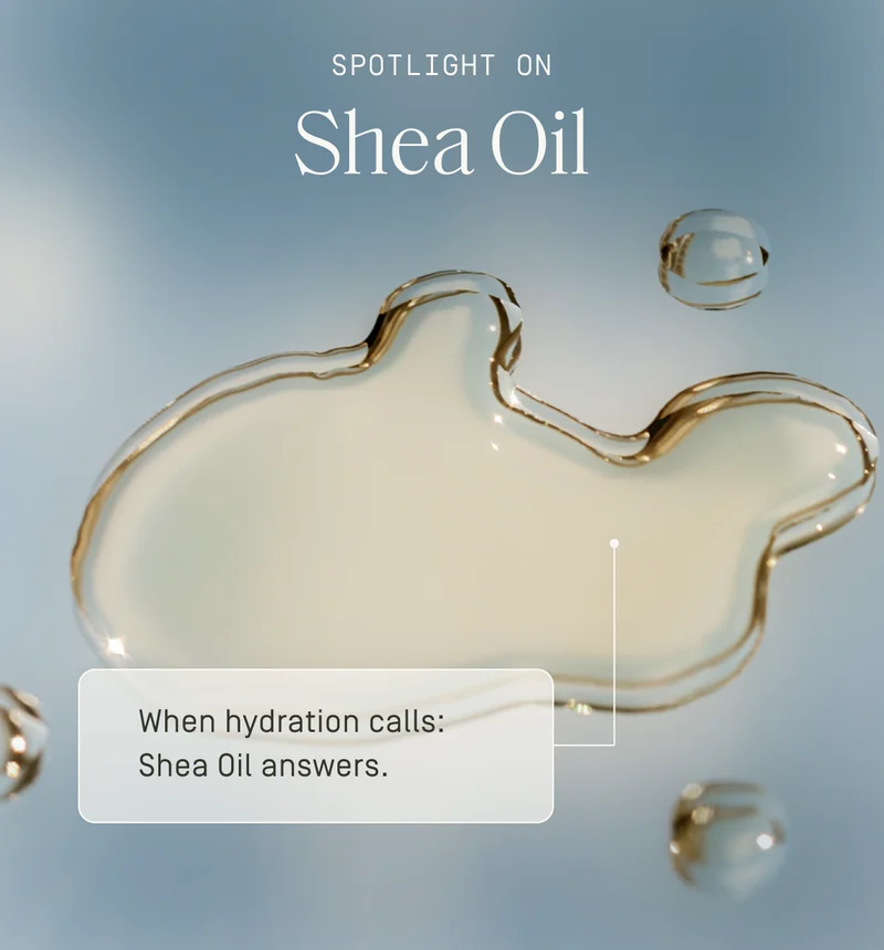 Spotlight on | Shea Oil