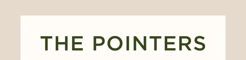 The Pointers