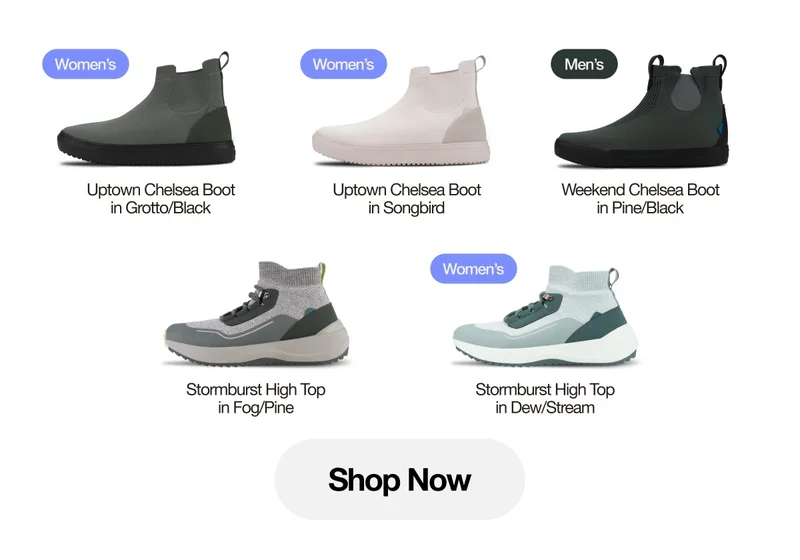 Product grid of new seasonal colours. Shop Now.