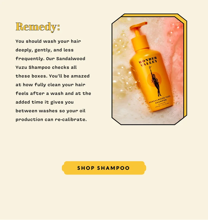 SHOP SHAMPOO