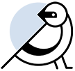 Mockingbird