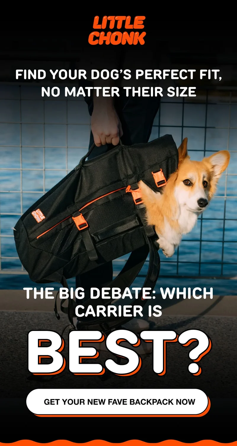 FIND YOUR DOG’S PERFECT MATCH