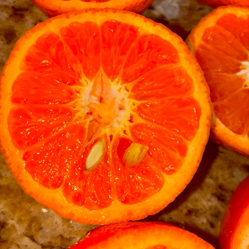 End of season citrus