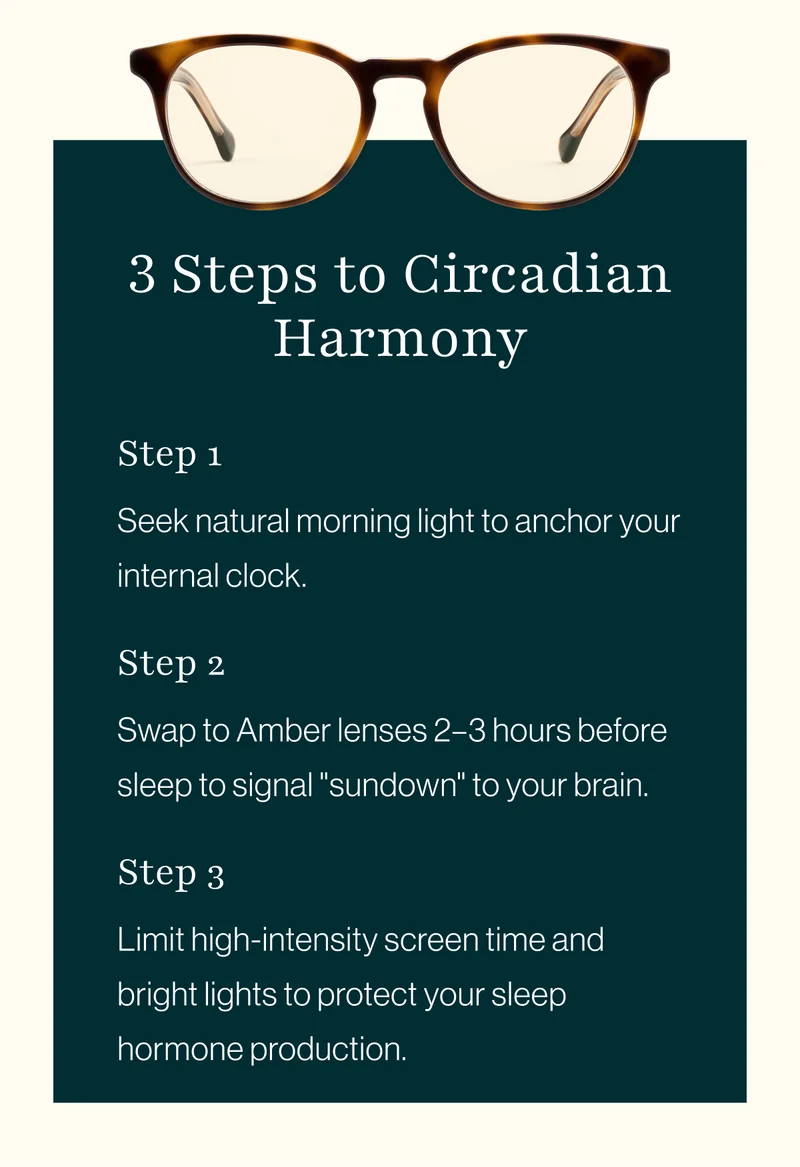 3 Steps to Circadian Harmony.