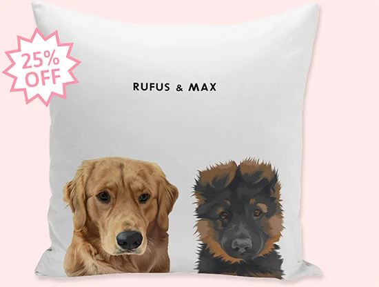 Pet Pillow
