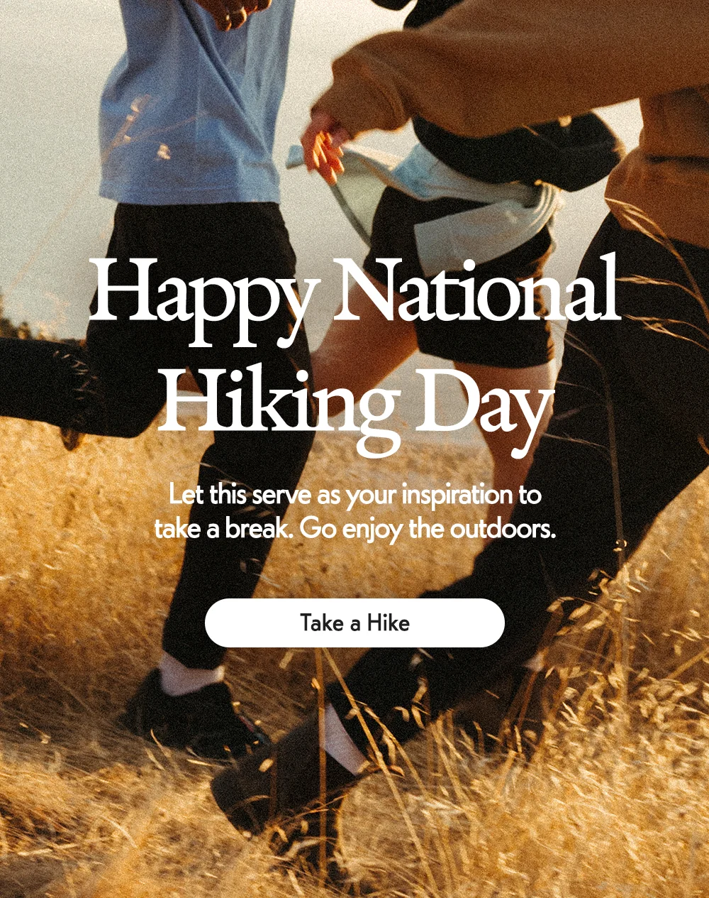 Happy National Hiking Day Let this serve as your inspiration to take a break. Go enjoy the outdoors. Take a Hike