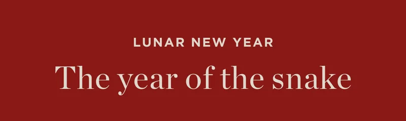 The Year of The Snake
