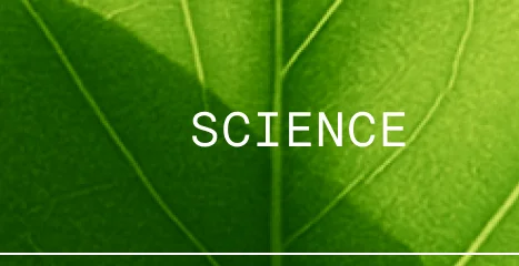 Science
