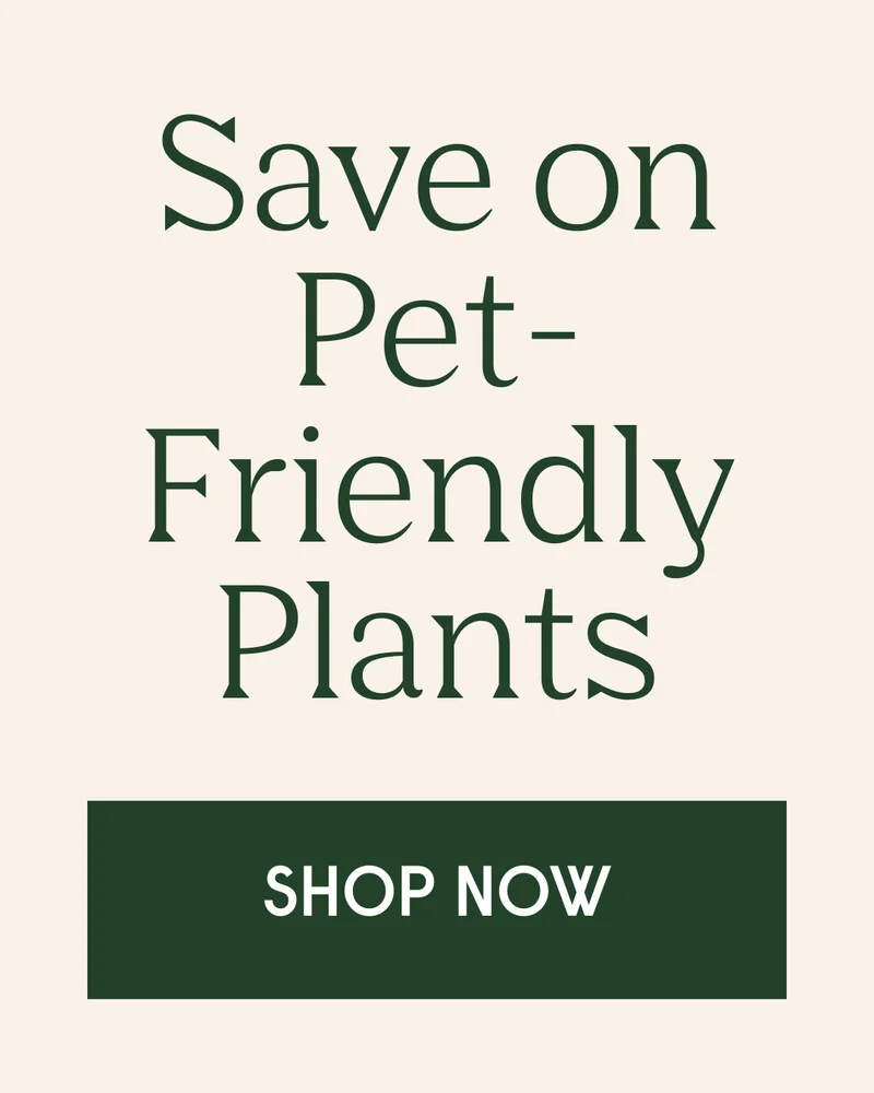 save on pet-friendly