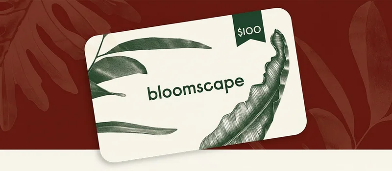 an image of a close up of a card with a plant on it
