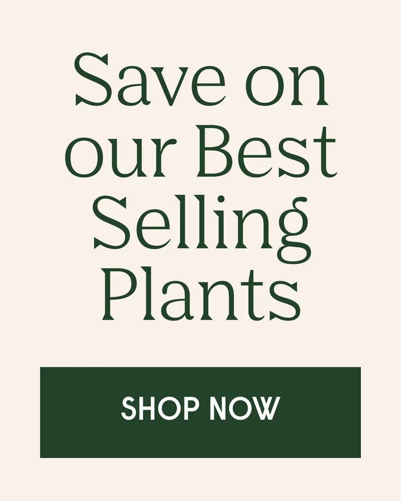 save on best sellers