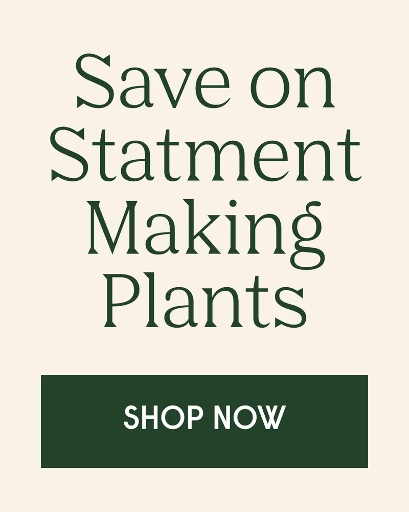 save on giant Plants